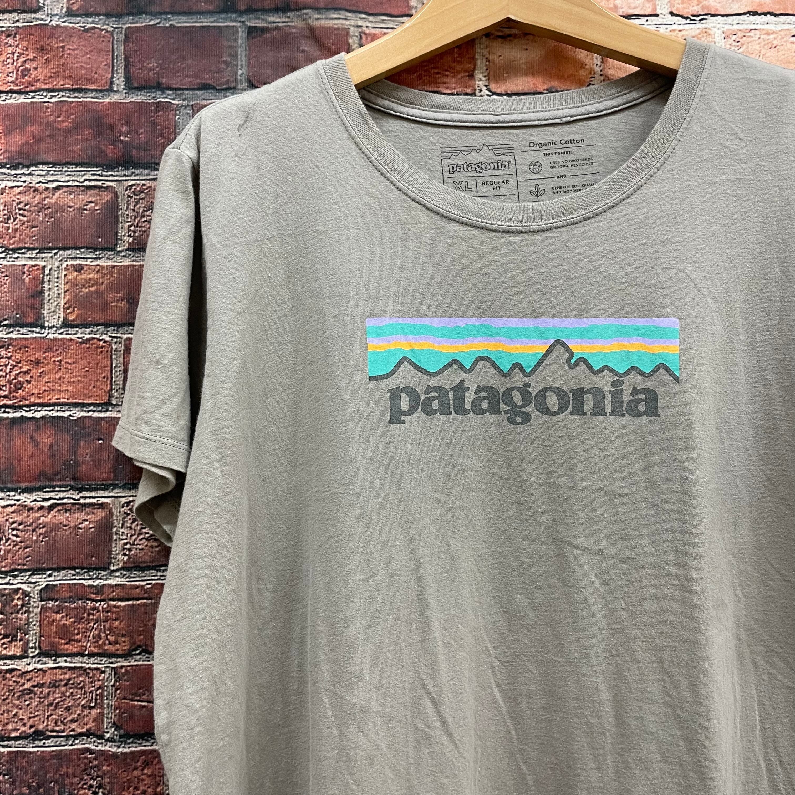 Tシャツ　オーガニックコットン　メキシコ製　パタゴニア　Patagonia XL