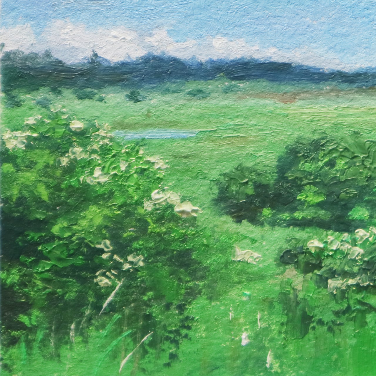 まひるのみどり(油絵) | 油絵屋 平林