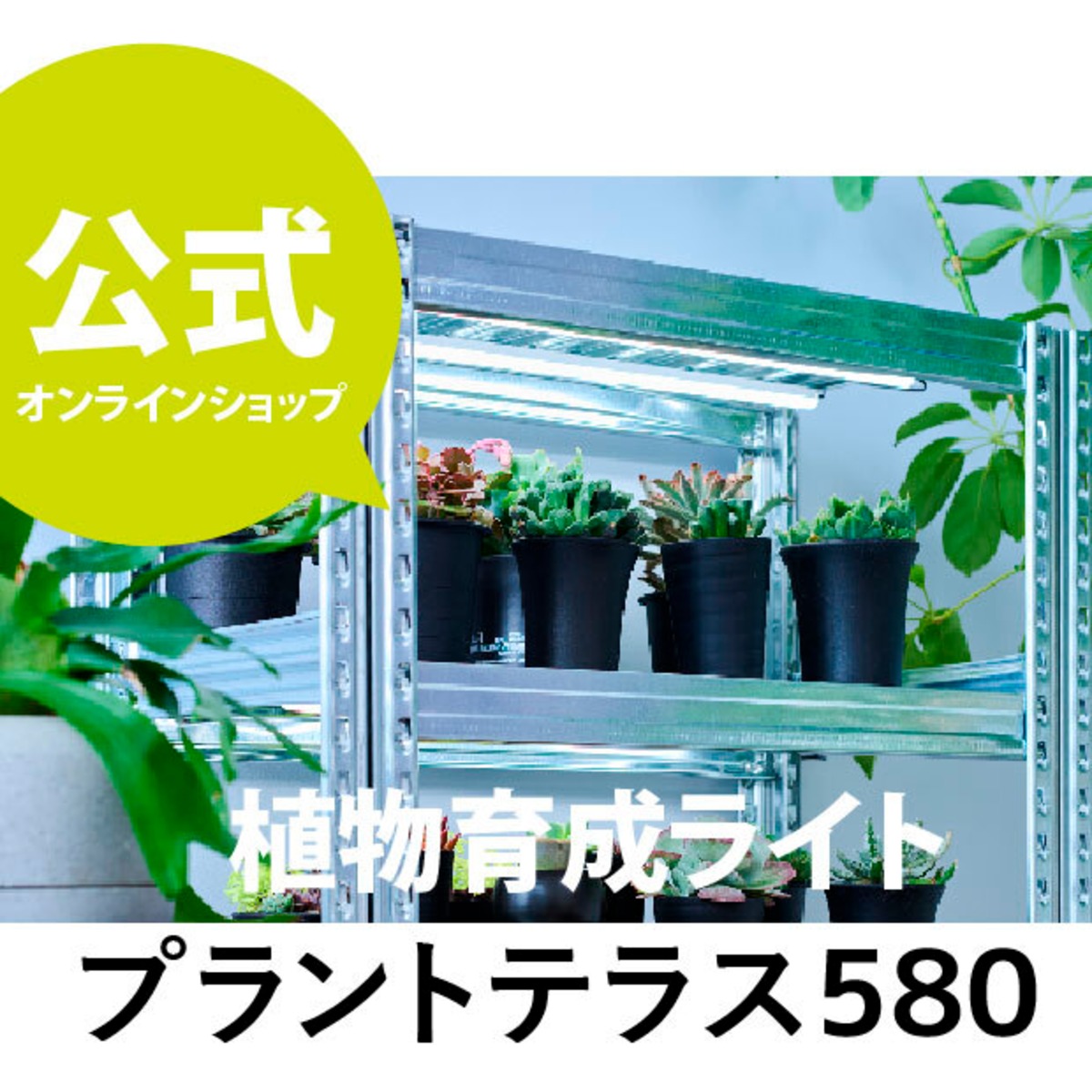植物育成ライト プラントテラス580 LEDライン照明 バータイプ 太陽光 