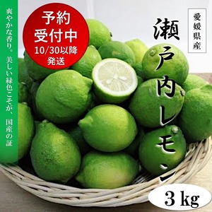 国産レモン　3kg　愛媛県産　ノーワックス　防腐剤不使用