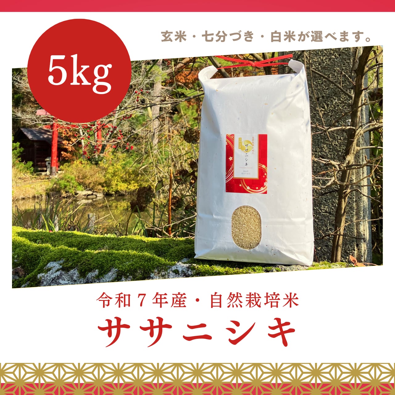 ササニシキ 三分つき5kg 令和7年産 農薬不使用化学肥料不使用 メーカー