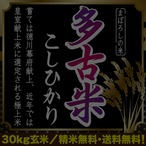 令和6年産　千葉県香取郡多古町産こしひかり　玄米30kg
