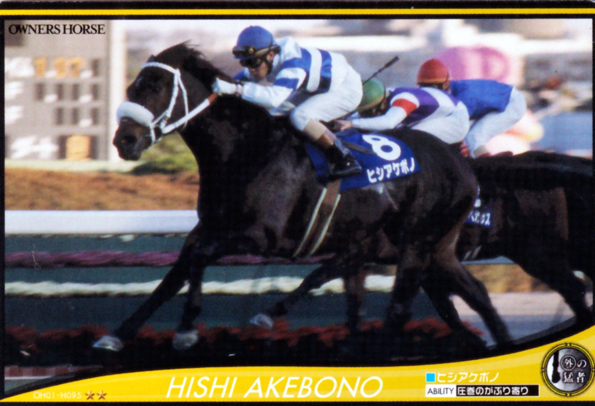 主戦騎手：角田晃一 | カードショップ うるま屋