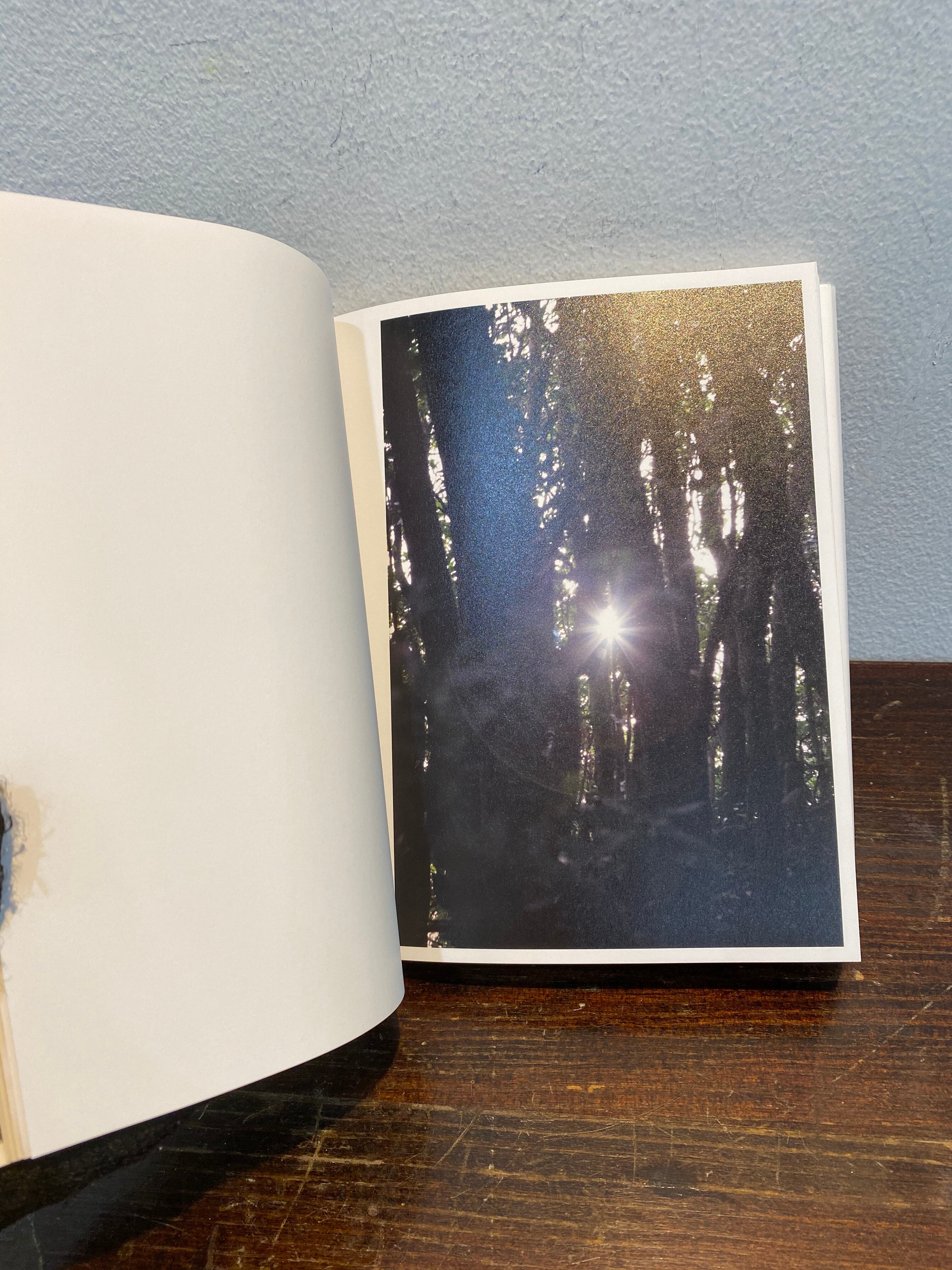 サイン RINKO KAWAUCHI 川内倫子 WHEN I WAS SEVEN | zbooks