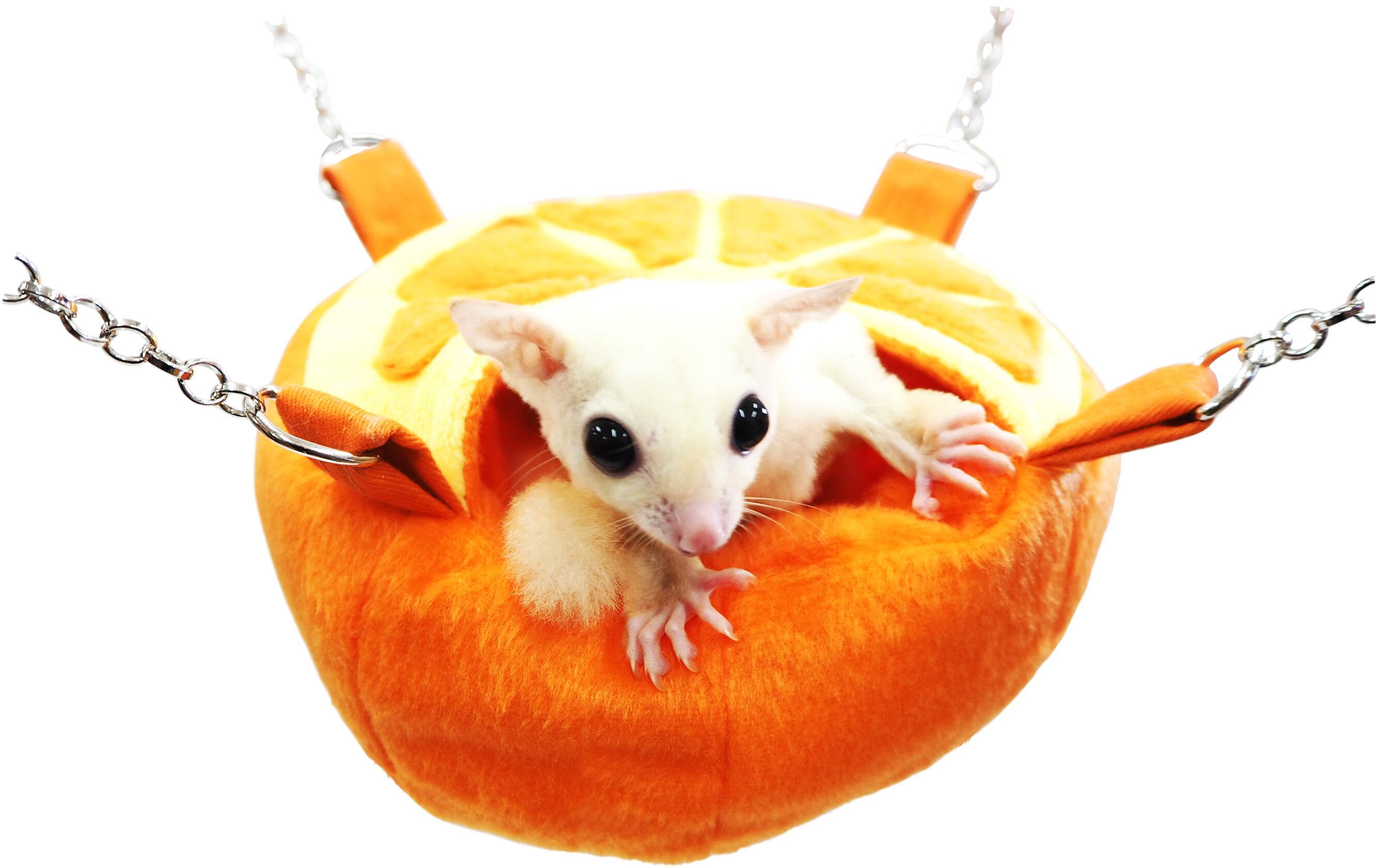 【小動物】フルーツカップ りんご/オレンジ