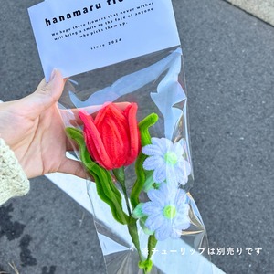 marguerite マーガレット【1本単体】| fuwafuwa flower