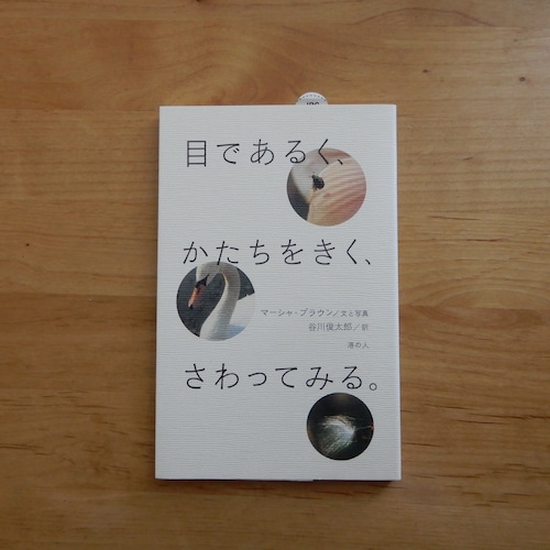 目であるく、かたちをきく、さわってみる。