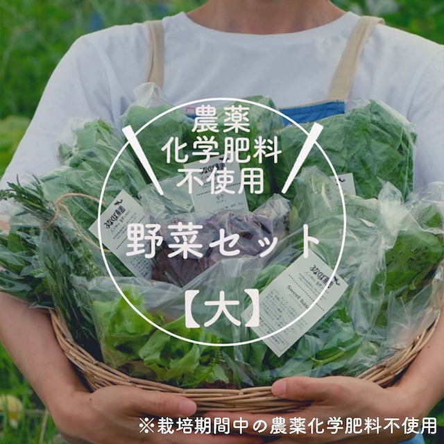 【野菜】野菜セット　大