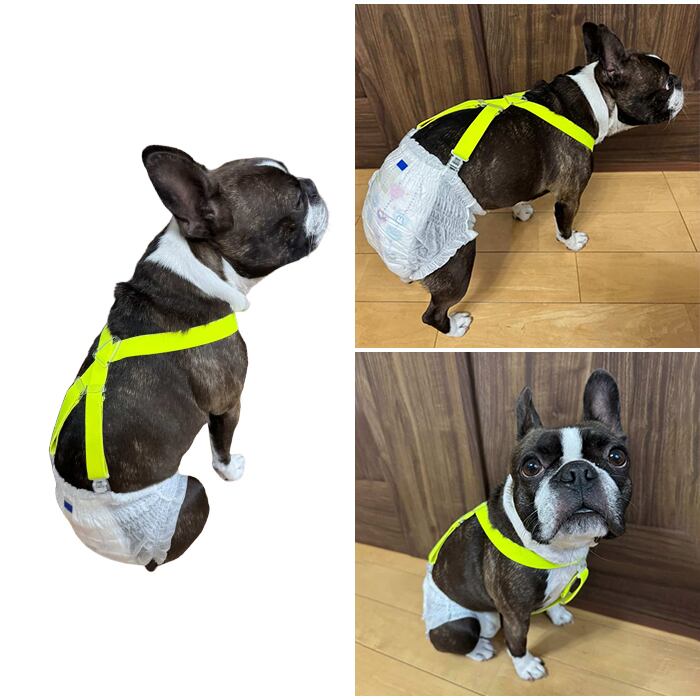 日本製 軽量サスペンダー 樹脂クリップ 犬用 高品質 猫用 おむつ固定