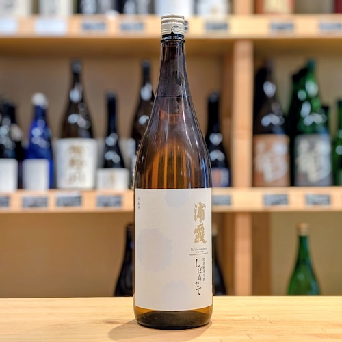 浦霞 特別純米生酒 しぼりたて 1.8L【日本酒】※要冷蔵