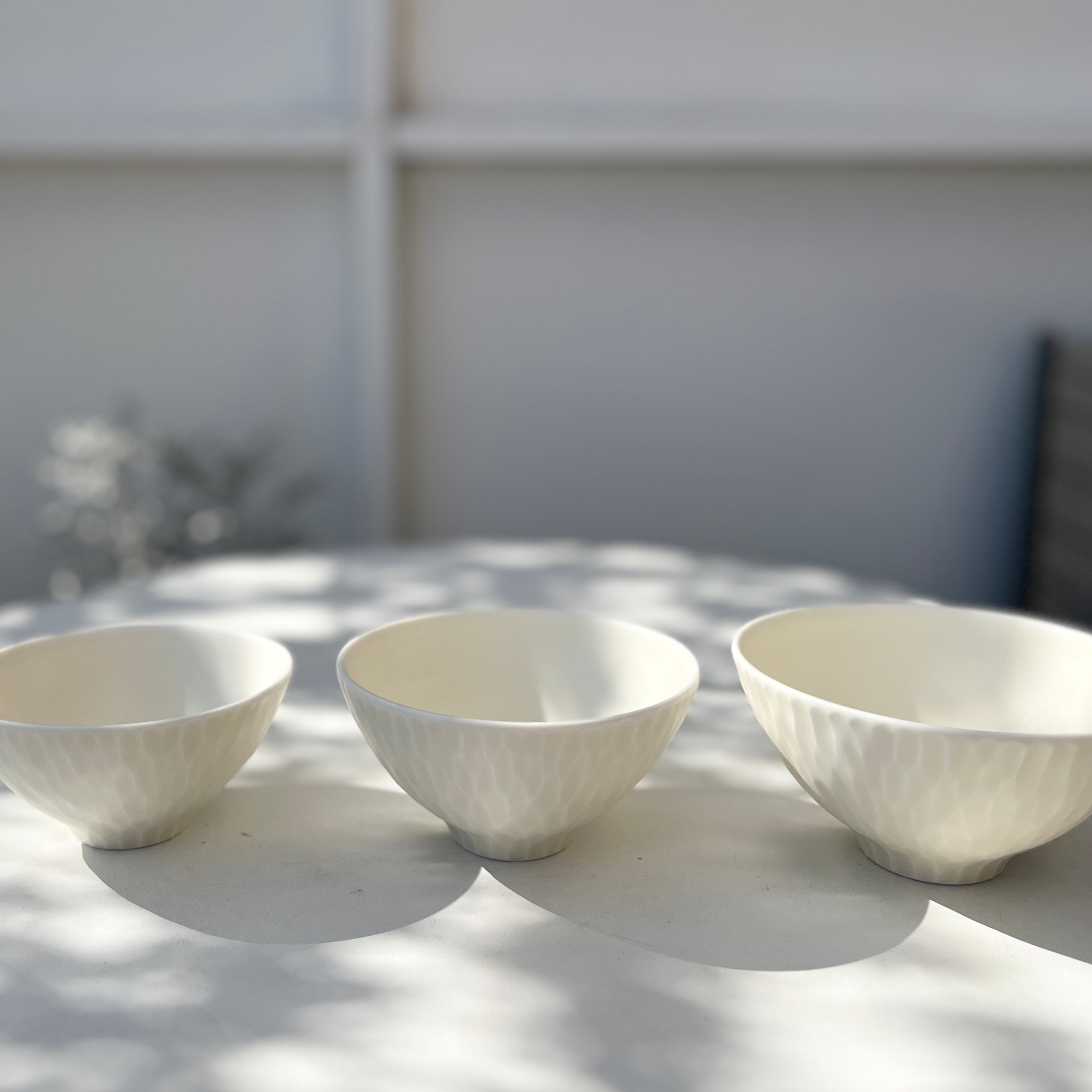 桑田智香子 飯碗 中