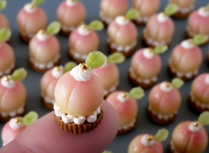 【ピアス/イヤリング】まるごと桃タルト | Peach Tart Earrings