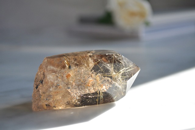 学業面の理解力を高める　