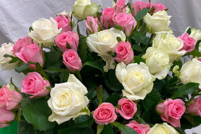 白・ピンクのバラ25本ずつアレンジしたバラ50本のブーケ（写真の商品）