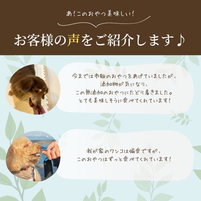 犬 ジャーキーセット 20g×2袋 | しっぽとまなざし｜国産無添加ペットフード