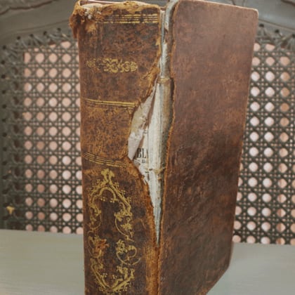 1857年レア超希少アンティーク洋書鑑賞ページ 1857年レア超希少アンティーク洋書鑑賞ページ 1857年レア超希少