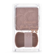 キャンメイク シェーディングパウダー04 アイスグレーブラウン 5g