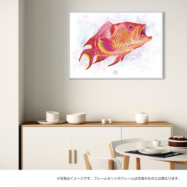 【海のいきものアートポスター／魚】バラハタ