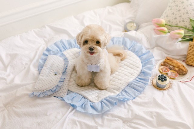 予約【kiki&nini】Bonbon Dot Ice Pouch〔お名前刺繍OK〕