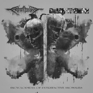 FESTERDECAY // CRASH SYNDROM / SPLIT "Encyclopedia of Putrefactive Anomalies"