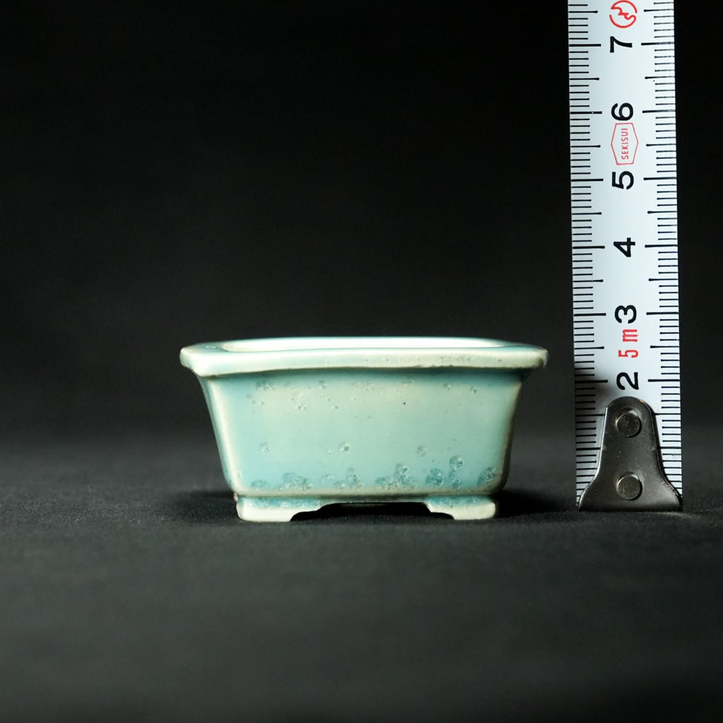 志水鉢 正方【盆栽Q5周年記念】 | bonsaiQ store