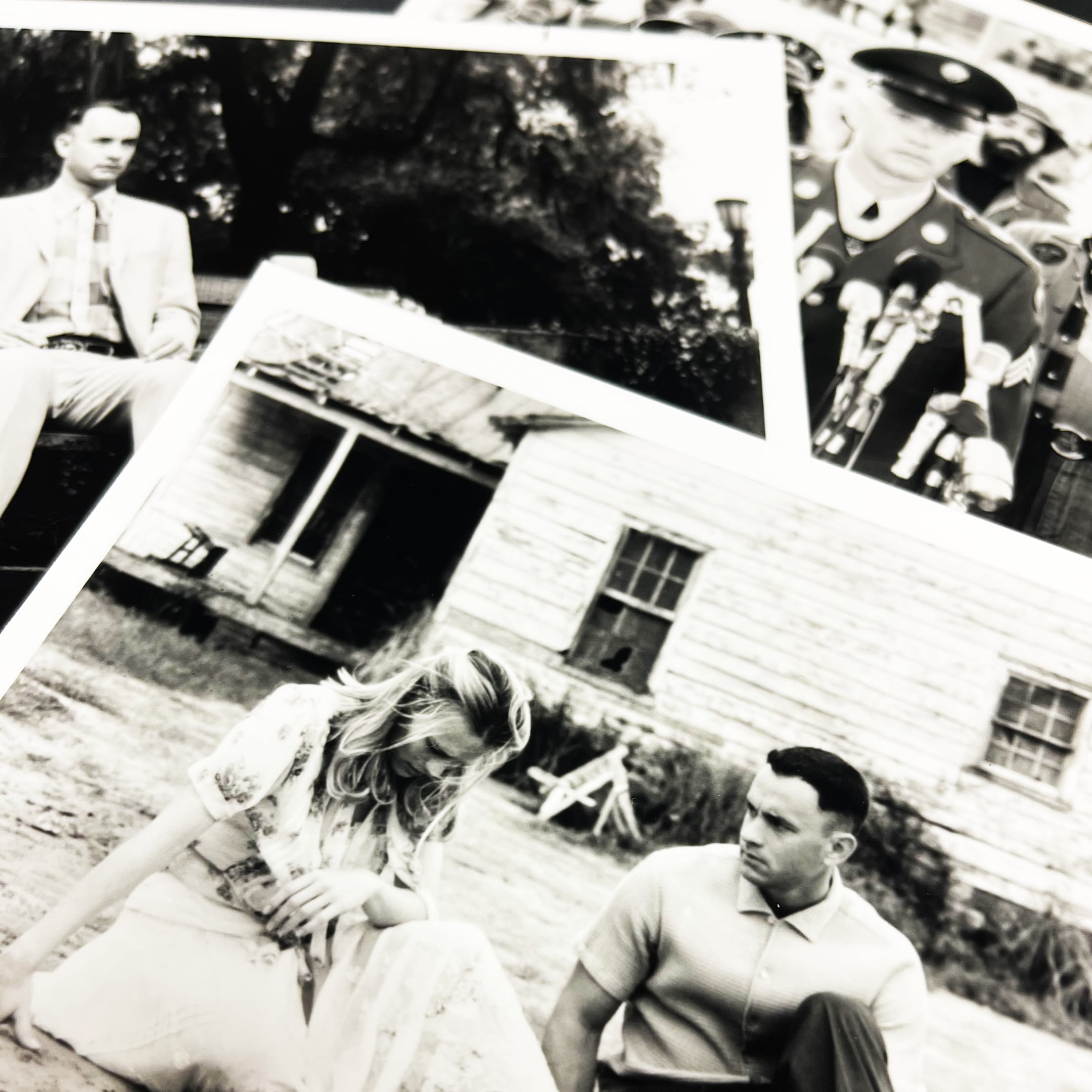 1994 / Forrest Gump / JPN still photo / 203x254mm【PP00000196096】