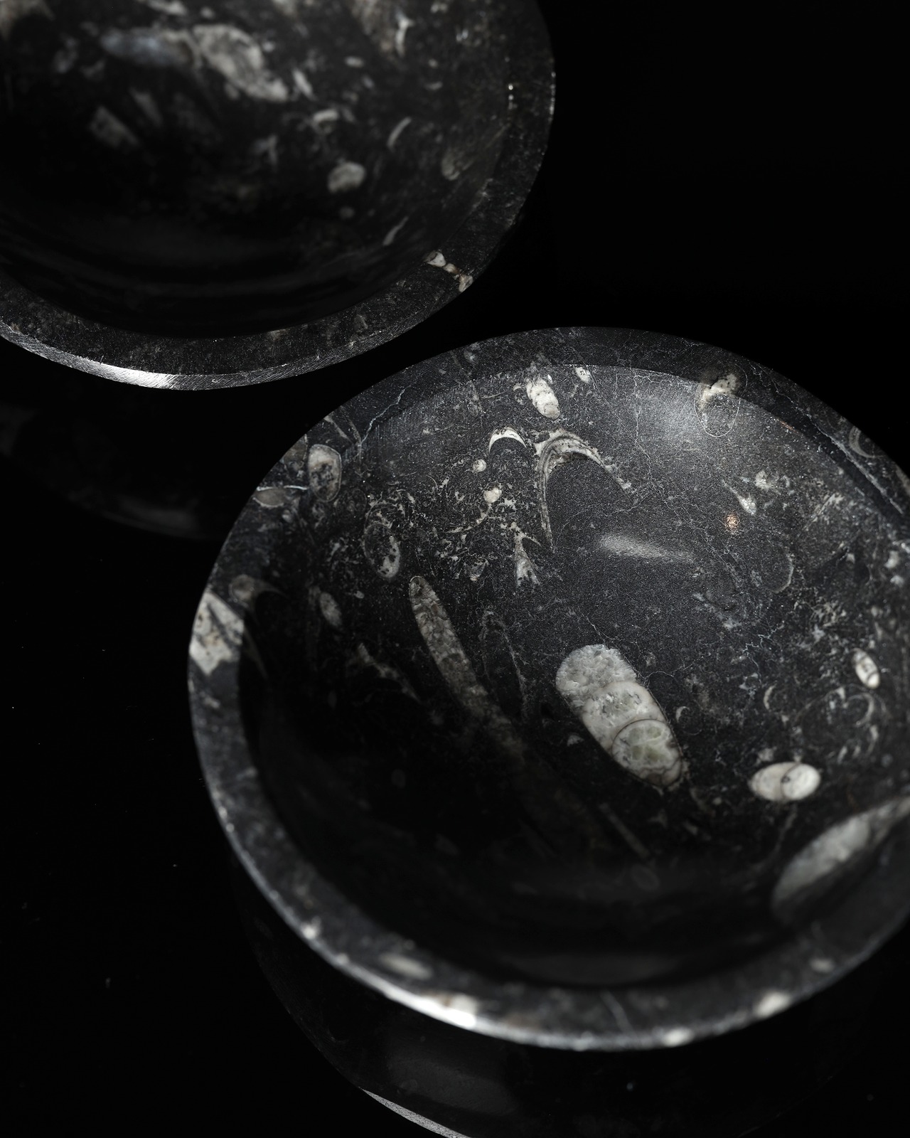 Fossil / Orthoceras Fossil Plate - 12cm