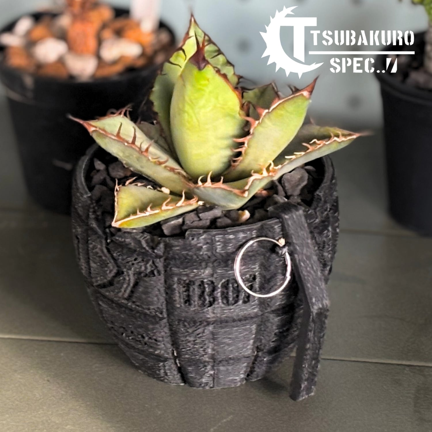 アガベ・塊根植物向け鉢 | 植木鉢・育成グッズ ツバクロスペック アガベ・塊根植物向け鉢 | 植木鉢・育成グッズ ツバクロスペック
