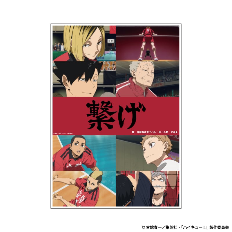 40ac96adf5ebfaa844089b2fe97560