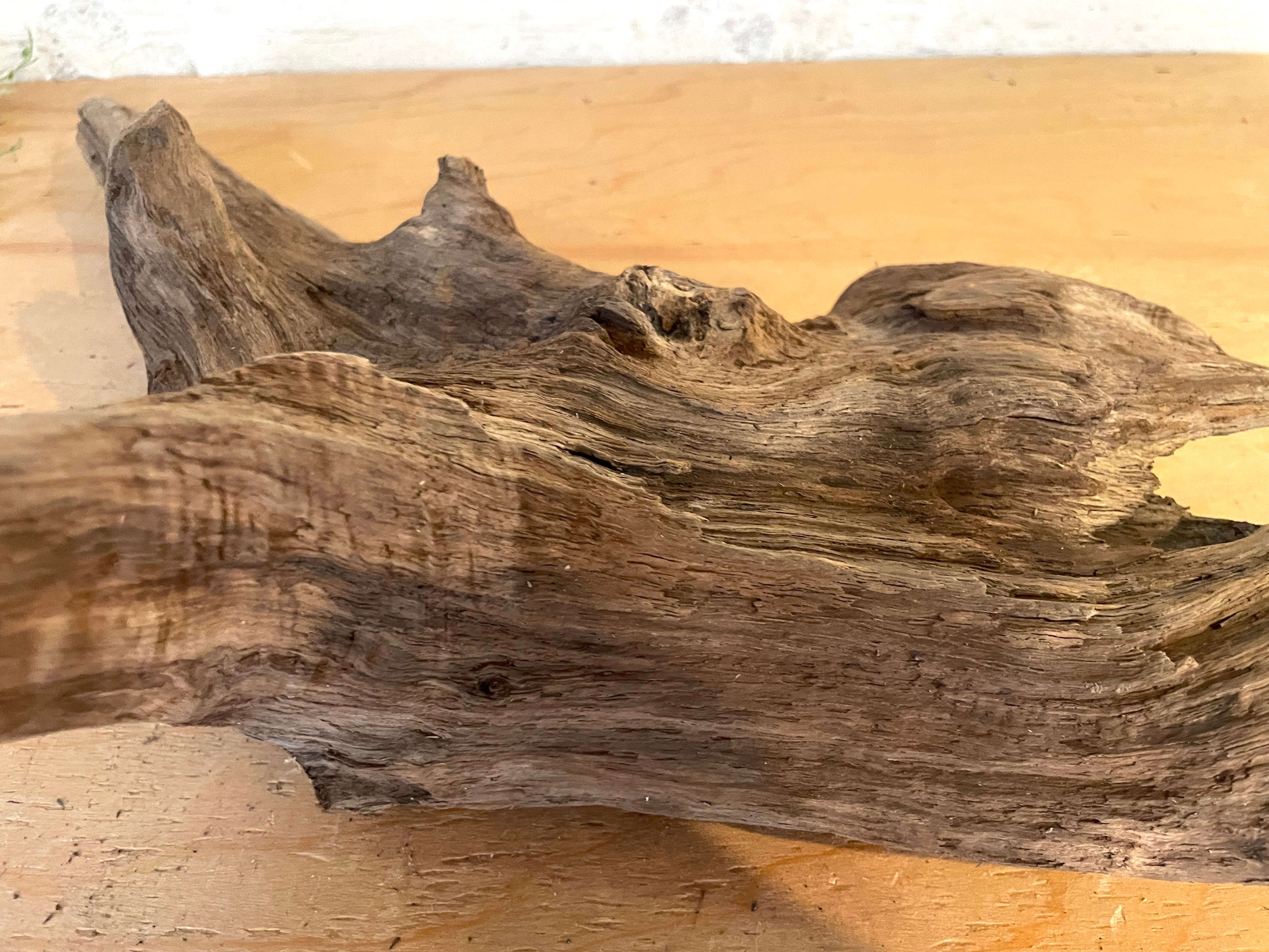 流木販売専門店 山の流木