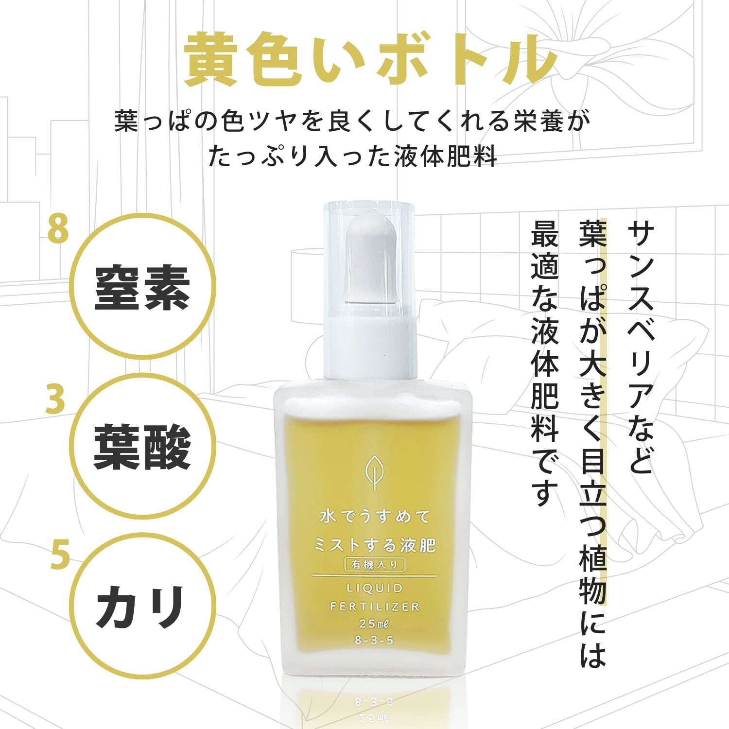 十二の巻】お洒落な砂利で育てる観葉植物・虫が湧きにくく衛生的（黒