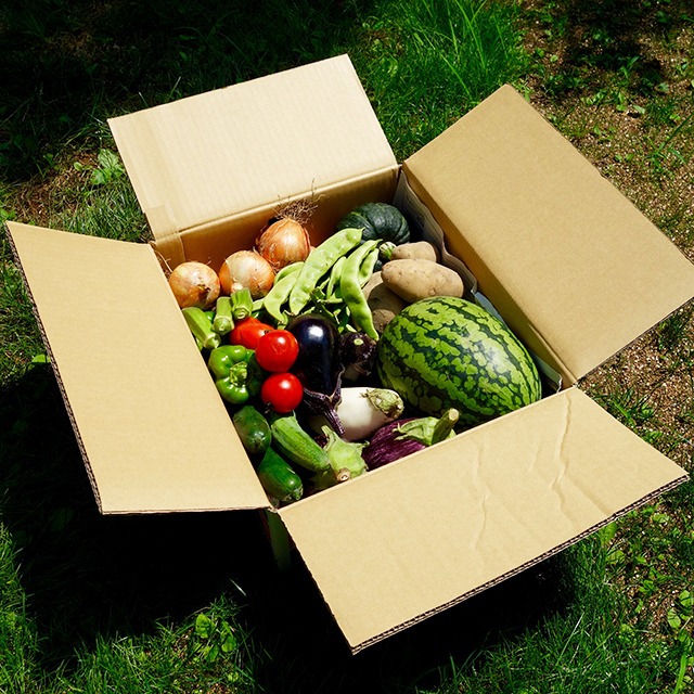 無農薬野菜セット】長野で育てた、採れたて野菜を直送 | 産地直送 上原 