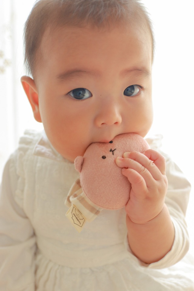 【完売】つみきのわぐまの腕ガラガラ