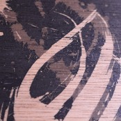 「穏やかな日々」