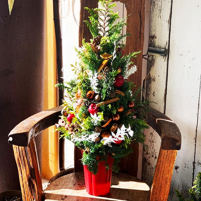 【予約限定】クリスマスツリーアレンジ 2025「モダンツリー」　とっておきのクリスマスを、森の香りとともに。