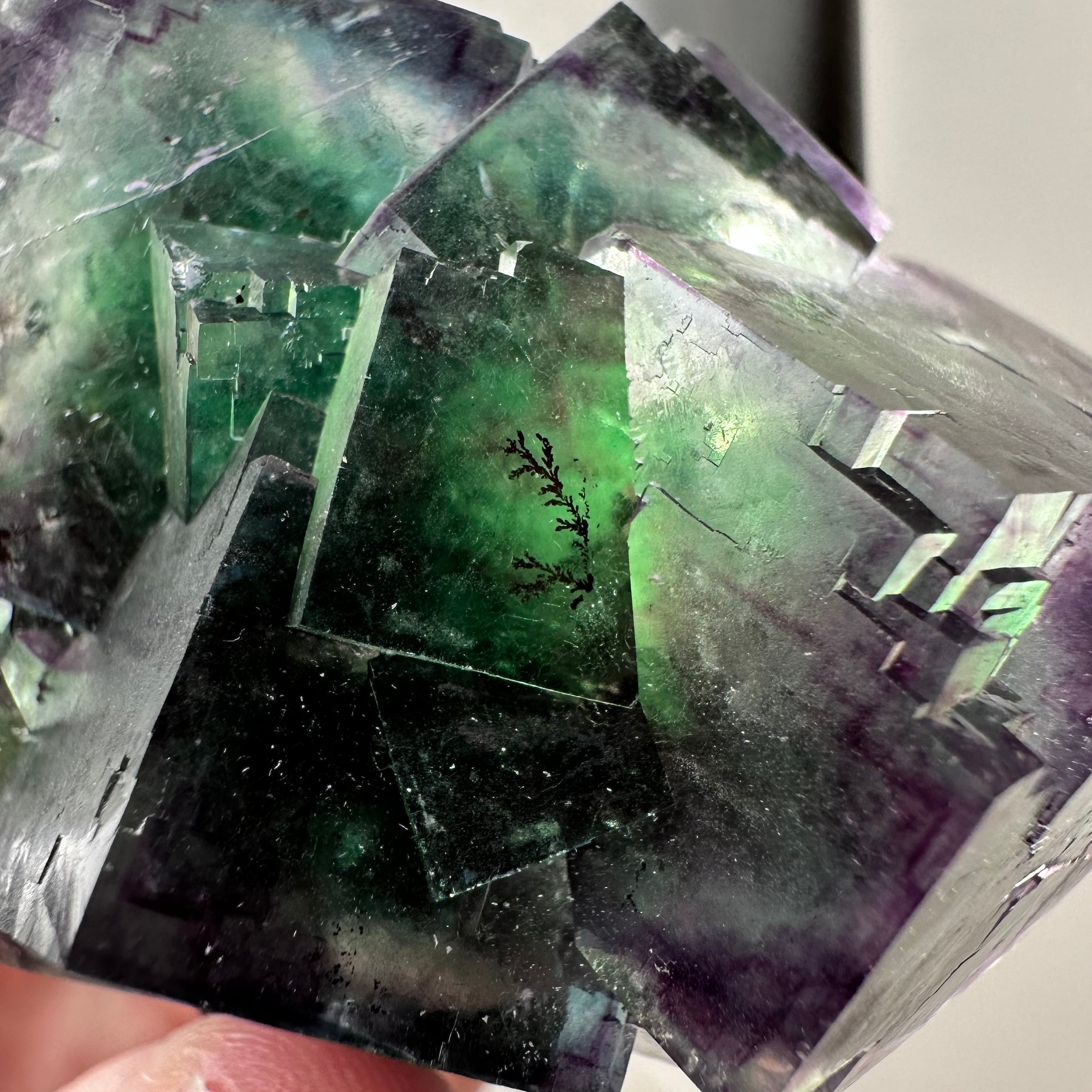 フローライト（デンドライト内包）【Fluorite / Dendritic inclusions