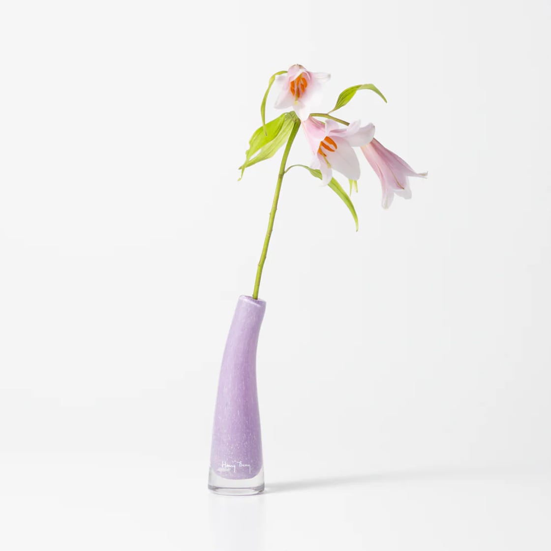 8/1発売》Grass S クロッカス［ HENRY DEAN ］ | REAL Style online shop