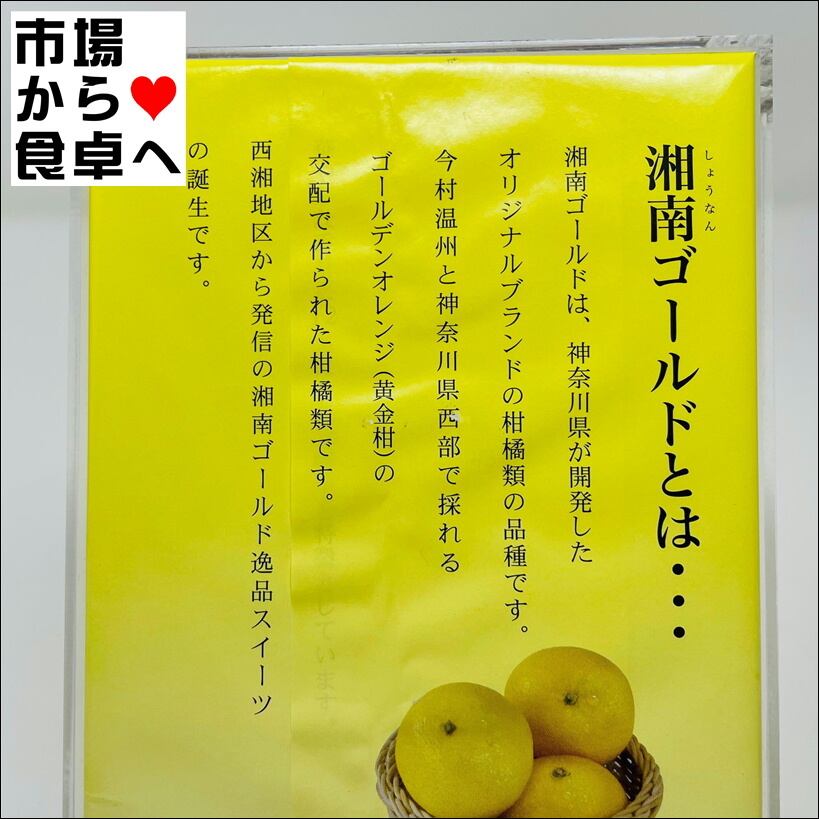 湘南ゴールドスカッシュ 290g 1箱24本入　2セット48個入　西湘限定 湘南ゴールドゼリー 2箱(1箱8個入り)【湘南ゴールド使用】爽やかな香り