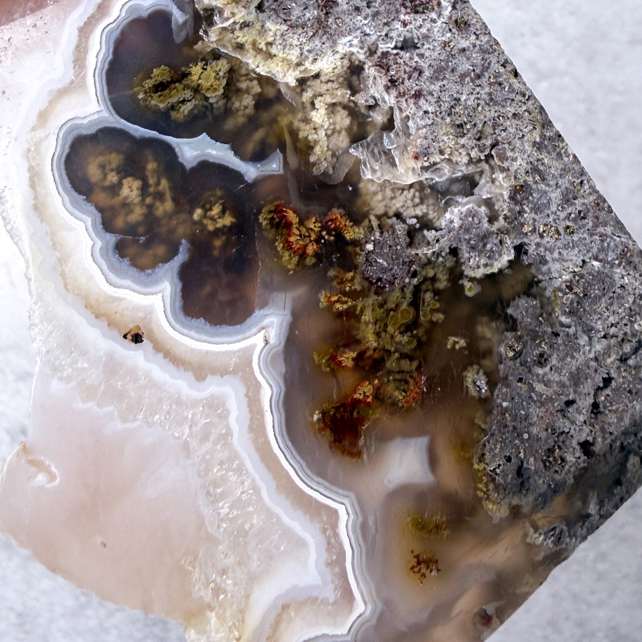 シーニックモスアゲート02 スラブ * Moss Agate * 天然石