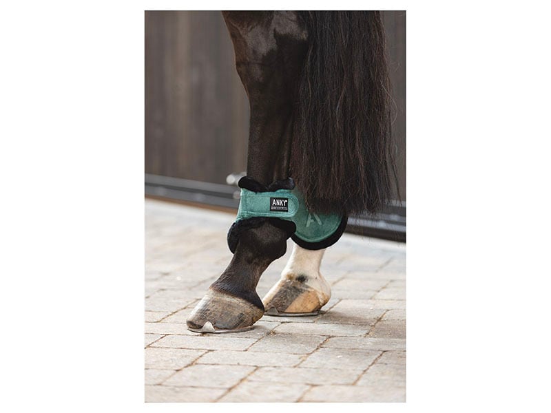 ANKY Velvet Fetlock Boot(ベルベット後脚プロテクター・2色 ANKY Velvet Fetlock Boot(ベルベット後脚プロテクター・2色