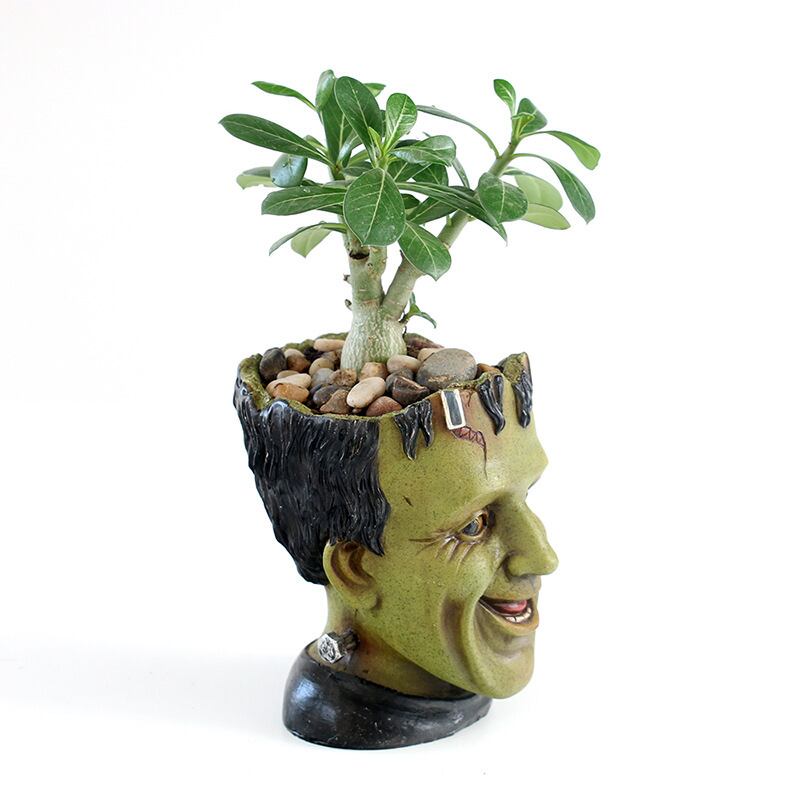 (専用)プランツモンスター plants monsters pot 大鉢(B) plants monsters pot（モンスタープランツポット）