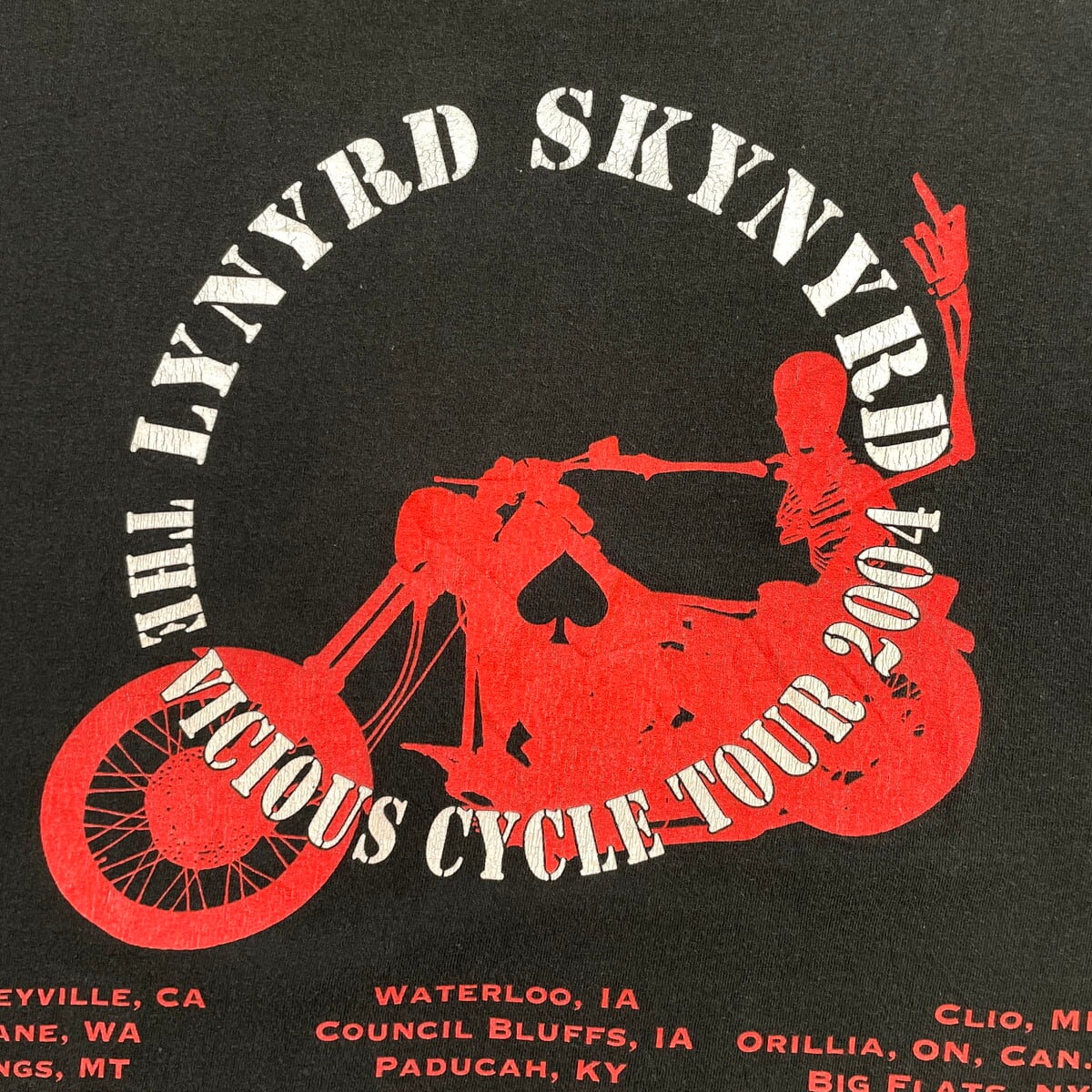 00年代 LYNYRD SKYNYRD レイナードスキナード バンドTシャツ バンT