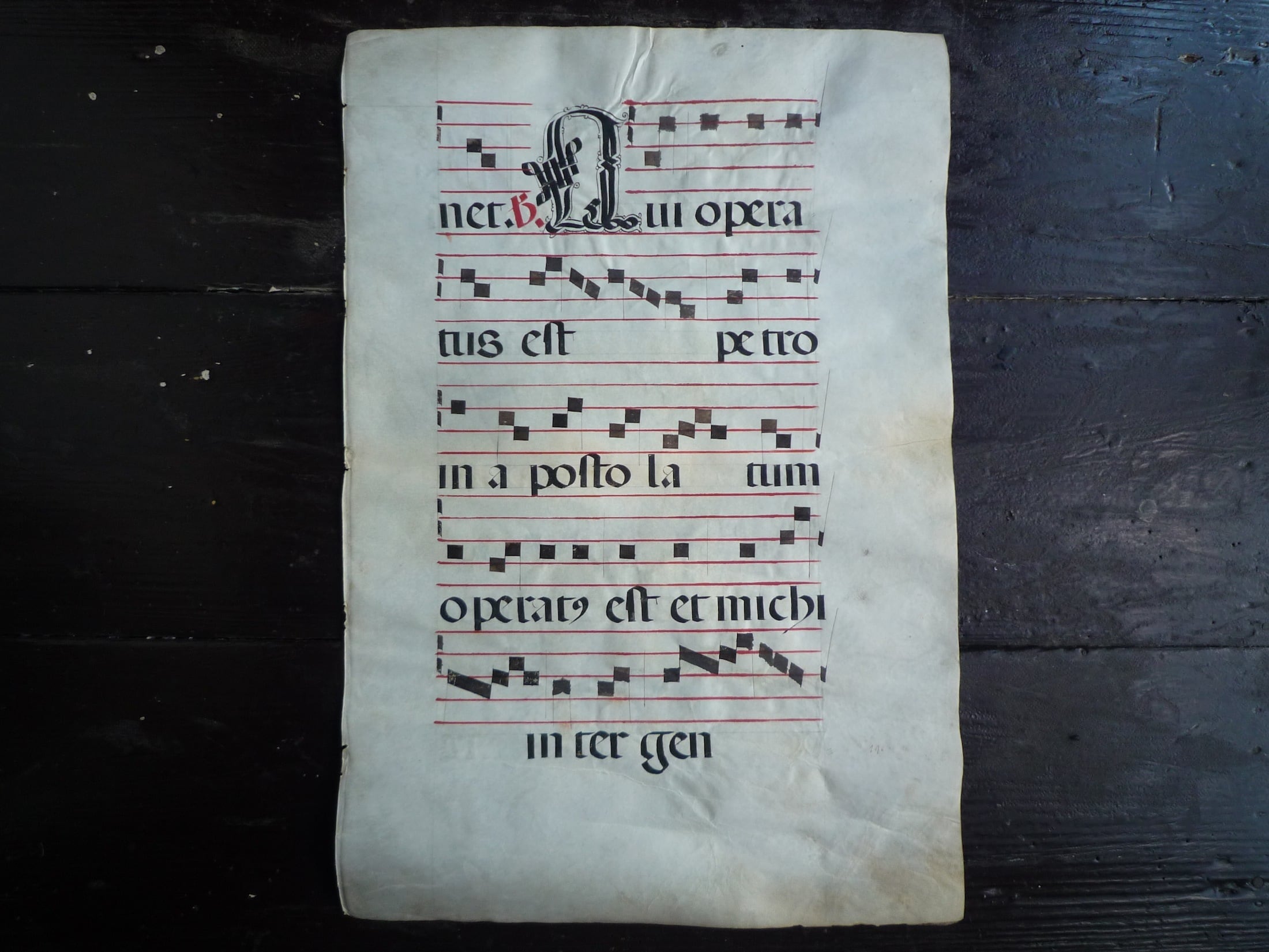 16世紀 中世写本 スペイン グレゴリオ聖歌 ネウマ譜 ⅲ