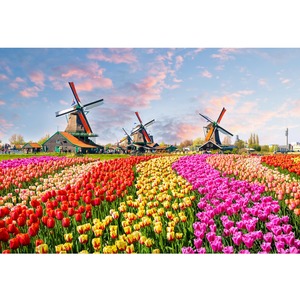 【努力特価】MISITU ジグソーパズル マイクロピース 1000ピース パズル 風景 自然 花 花畑 花園 風車 プレゼント 誕生日 クリスマス おしゃれ インテリア チューリップ (26 x 38 cm)