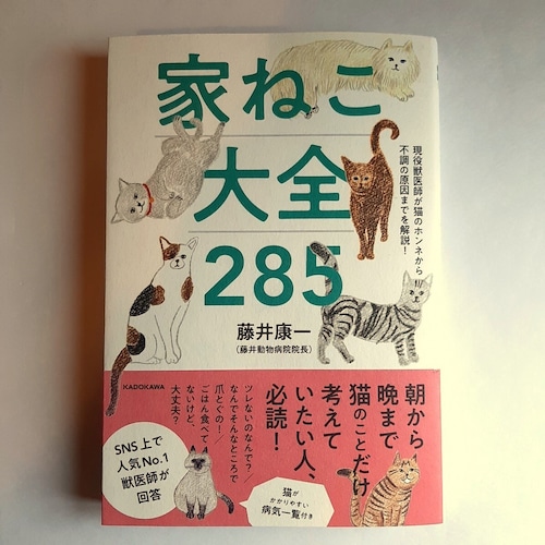 家ねこ大全285