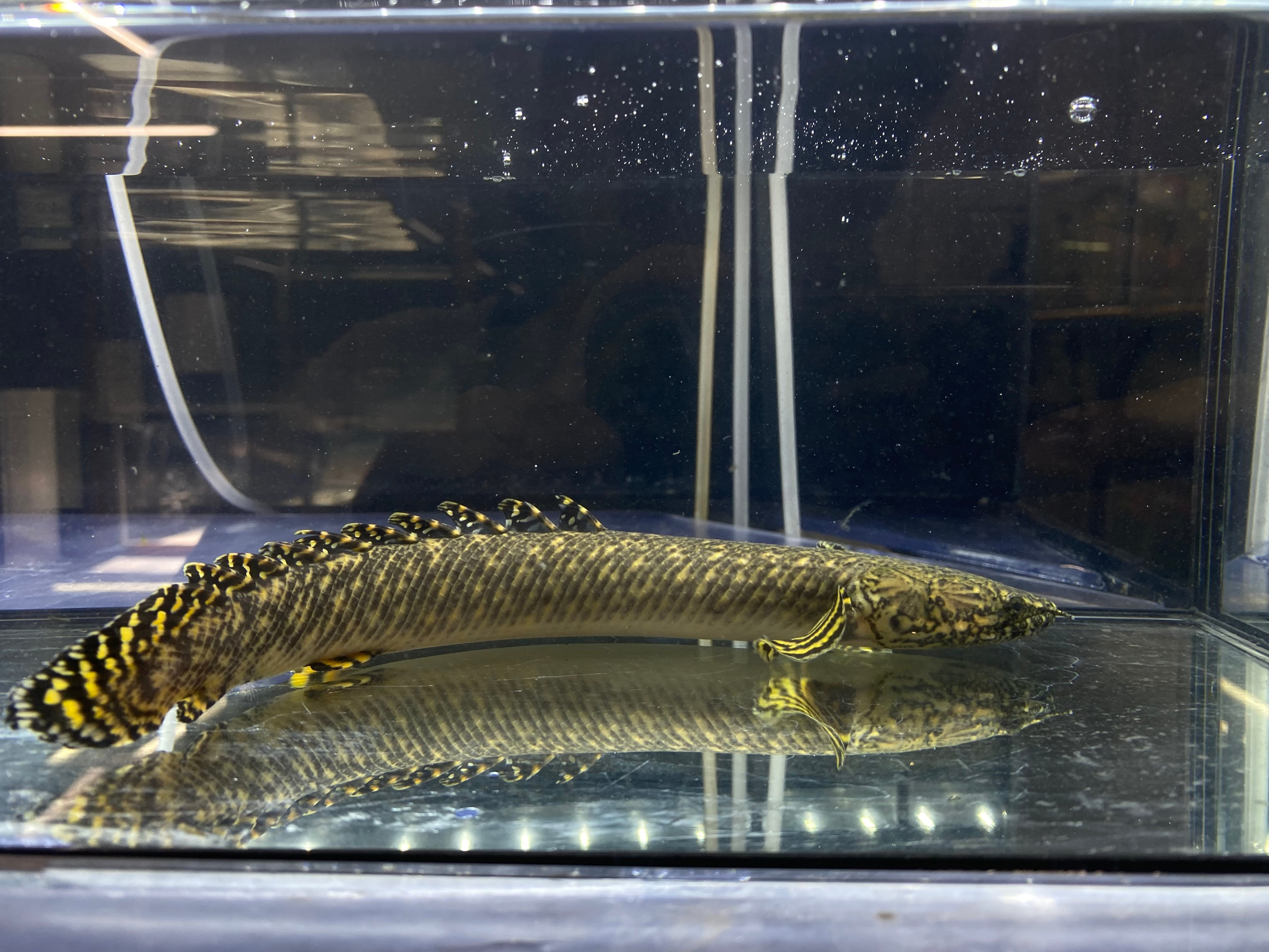 40ce3c321dcac10432295aff50cb2b  