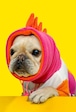 即納【TOOF】DINO SNOOD (Pink)