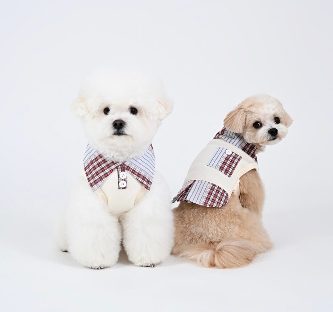 足を通さない襟付きシャツ ‐ (CREAM)