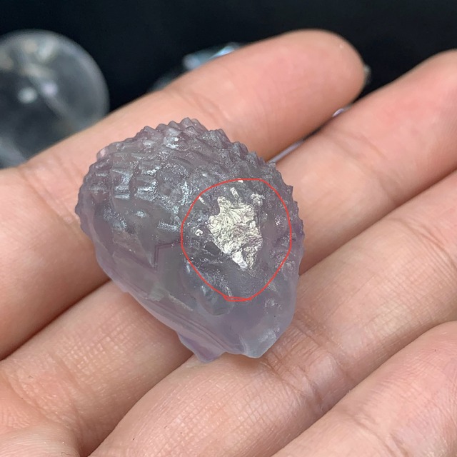 (訳)24.フローライトハリネズミさん