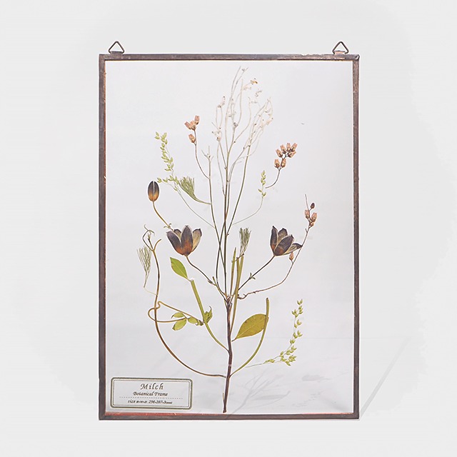 Botanical Frame L14 - Copper